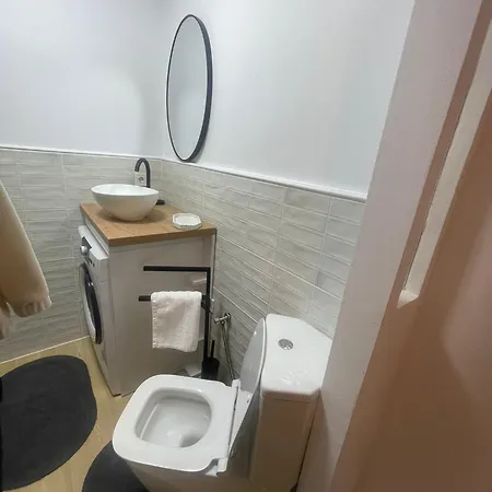 Garsoniera Sagului Apartment *