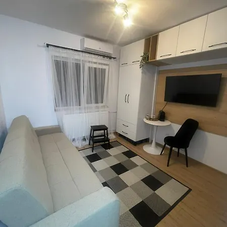 Garsoniera Sagului Apartment