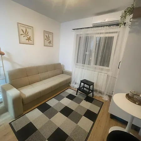 Garsoniera Sagului Apartment *