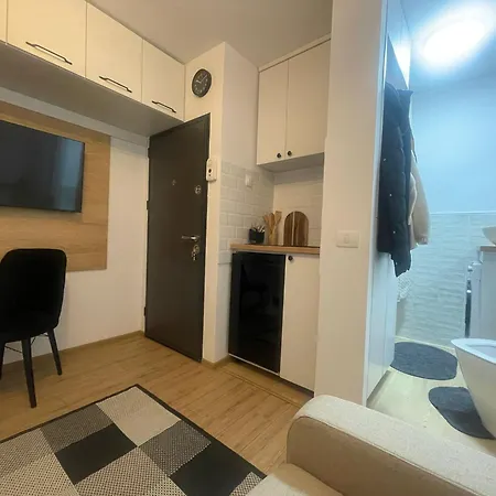 Garsoniera Sagului Timişoara