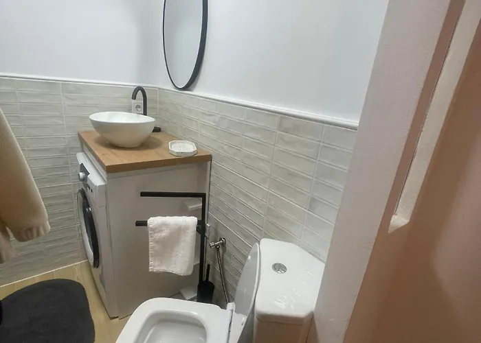 Garsoniera Sagului Appartement *