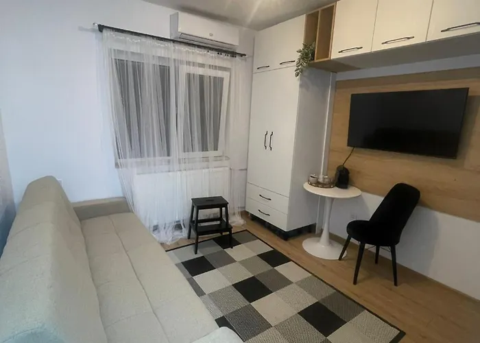 Garsoniera Sagului Appartement