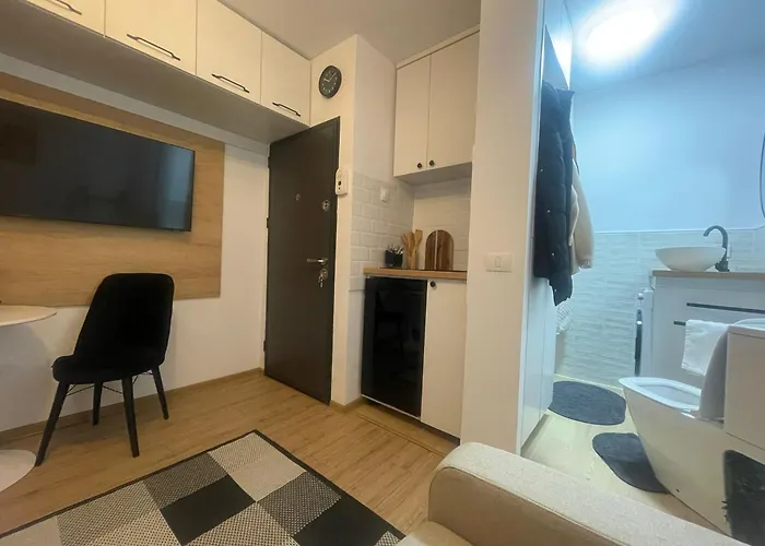 Garsoniera Sagului Timişoara