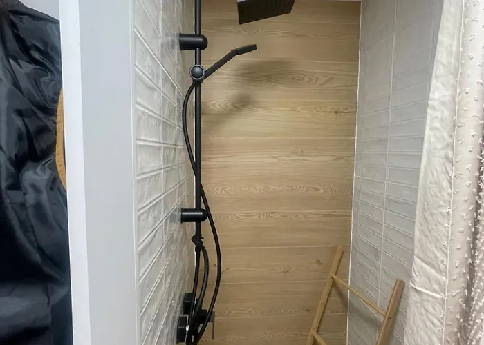 Garsoniera Sagului *