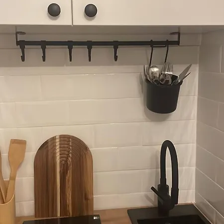 Garsoniera Sagului 公寓 *