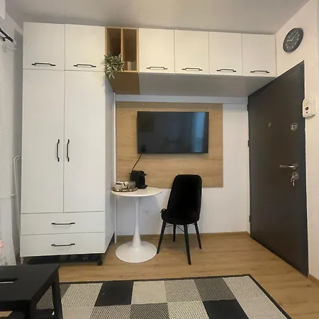 Garsoniera Sagului * 蒂米什瓦拉