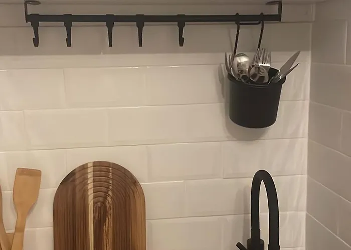 Garsoniera Sagului 公寓 *