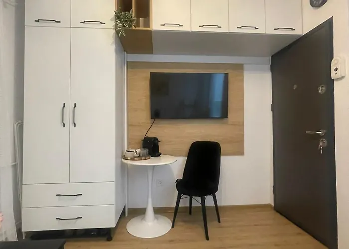 Garsoniera Sagului * 蒂米什瓦拉